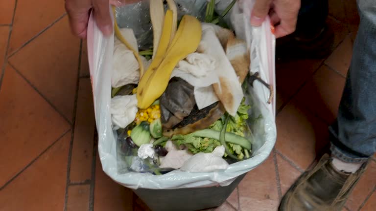 Best Garage Cleanout  in Locust, NC